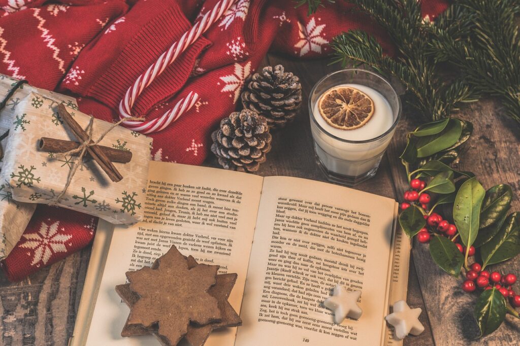 Libri da regalare a Natale. Quali mettere sotto l’Albero quest’anno