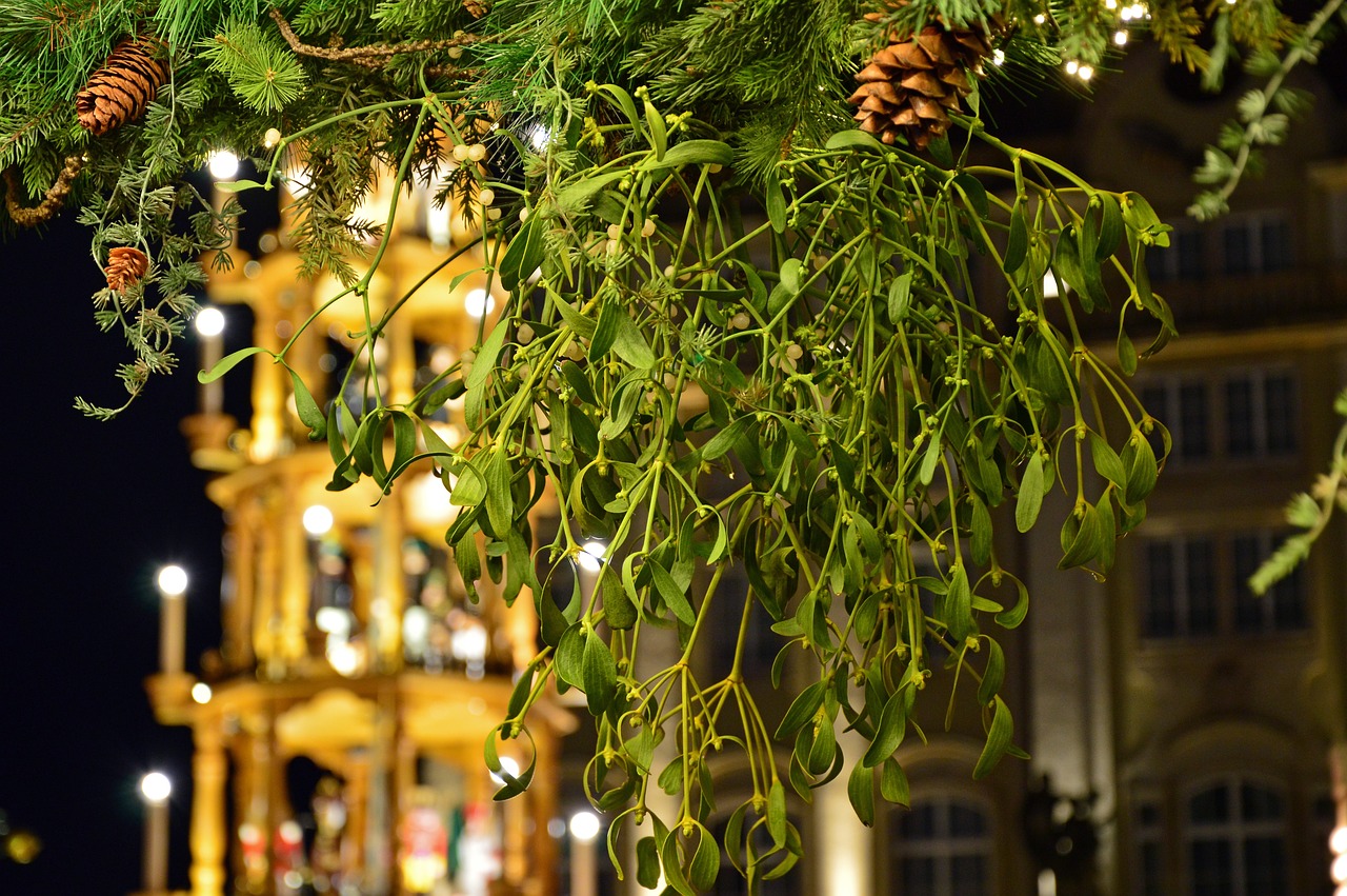 simboli del Natale