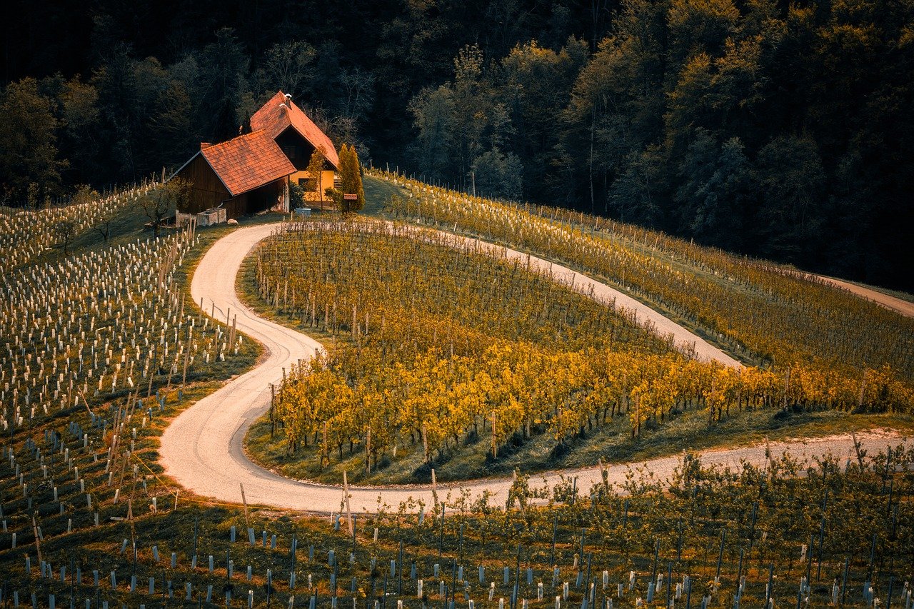 Migliori start-up italiane del settore food. Lazio, Umbria e Nord: chi sono gli innovatori da tenere d’occhio