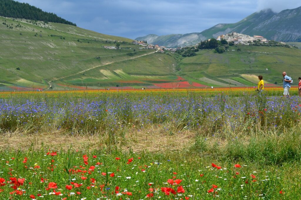 Il polmone verde d’Italia si colora: cosa vedere in Umbria a primavera