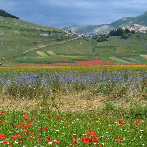 cosa vedere in Umbria a primavera