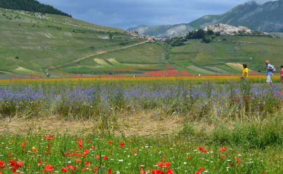 cosa vedere in Umbria a primavera