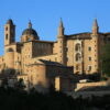 Urbino