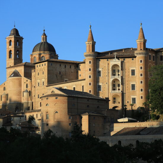 Urbino