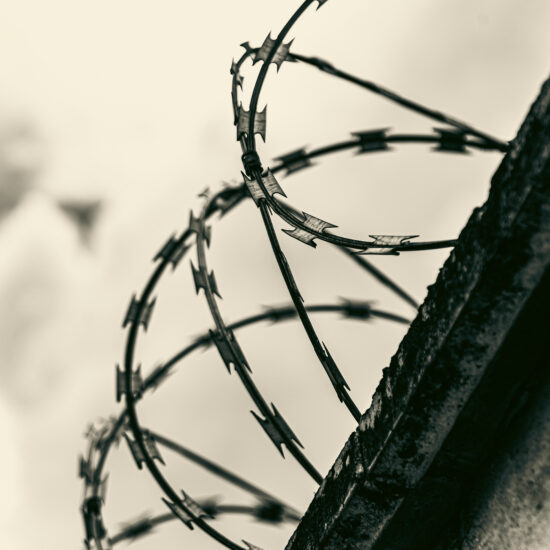 giorno della memoria